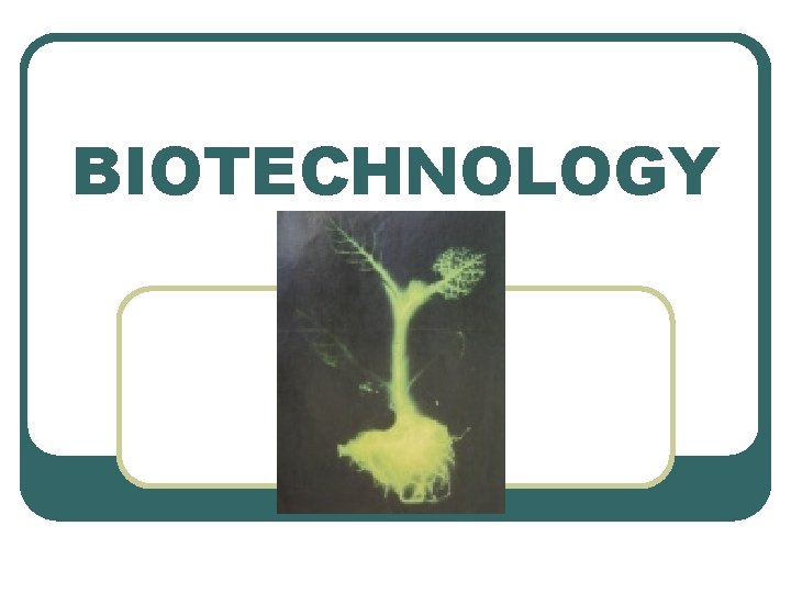 BIOTECHNOLOGY 