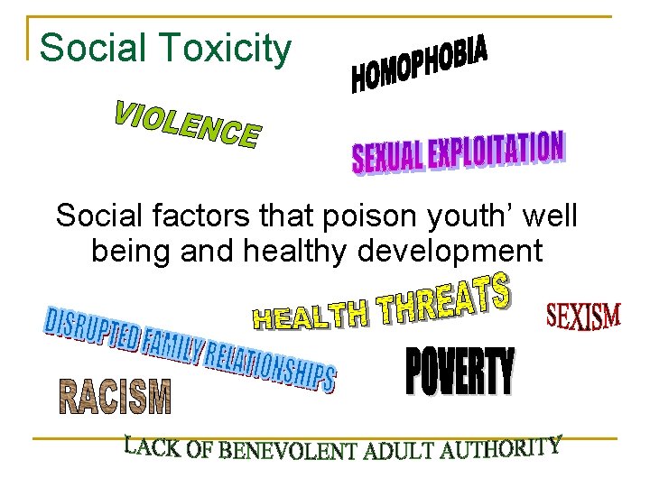 Social Toxicity Social factors that poison youth’ well being and healthy development 