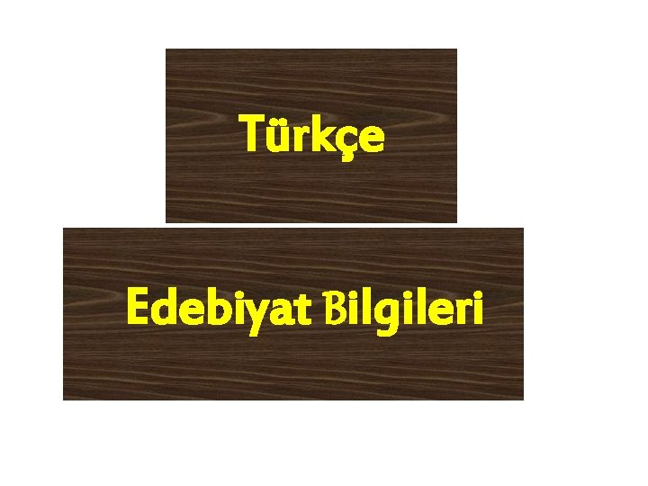 Türkçe Edebiyat Bilgileri 