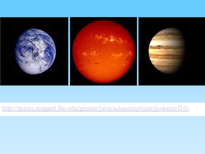 http: //micro. magnet. fsu. edu/primer/java/scienceopticsu/powersof 10/ 