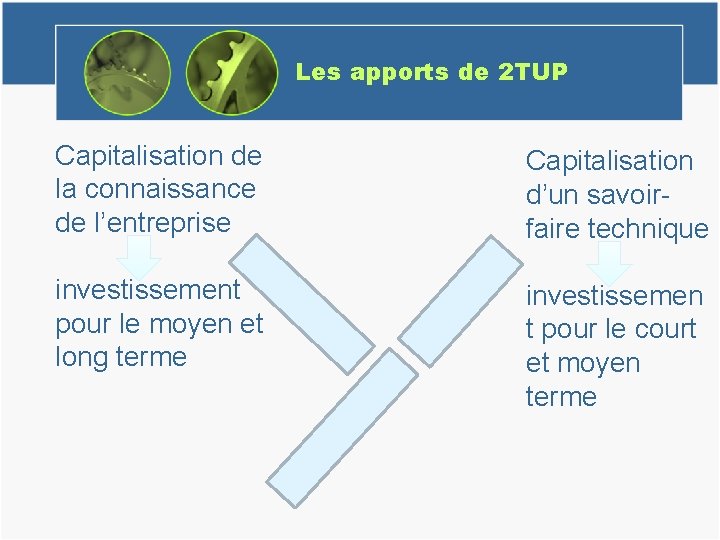 Les apports de 2 TUP Capitalisation de la connaissance de l’entreprise Capitalisation d’un savoirfaire