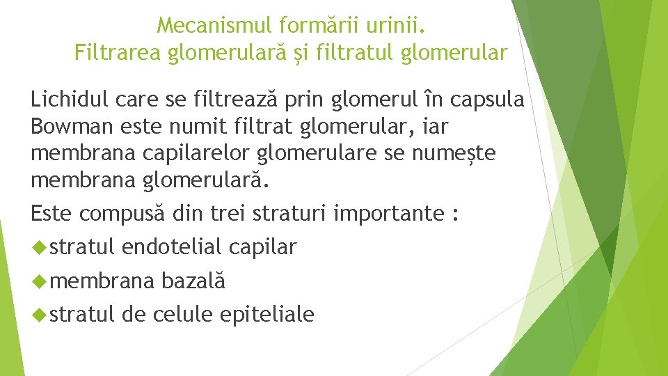 Mecanismul formării urinii. Filtrarea glomerulară şi filtratul glomerular Lichidul care se filtrează prin glomerul