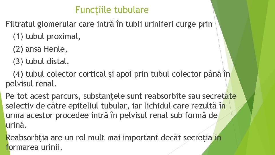 Funcţiile tubulare Filtratul glomerular care intră în tubii uriniferi curge prin (1) tubul proximal,