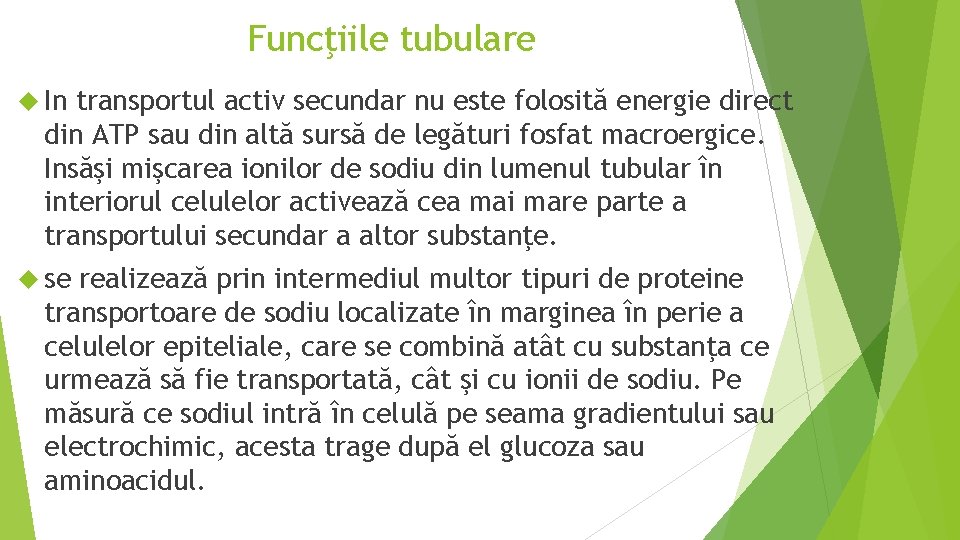 Funcţiile tubulare In transportul activ secundar nu este folosită energie direct din ATP sau