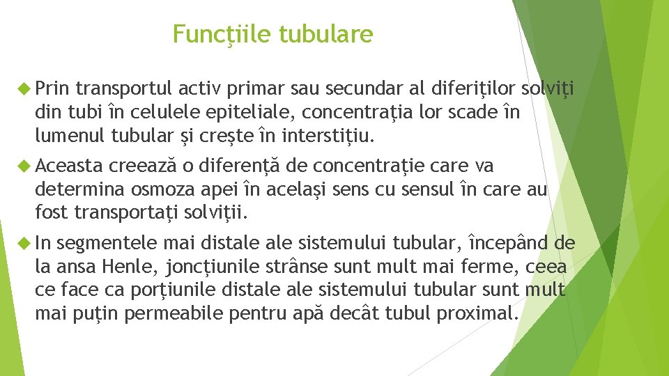 Funcţiile tubulare Prin transportul activ primar sau secundar al diferiţilor solviţi din tubi în