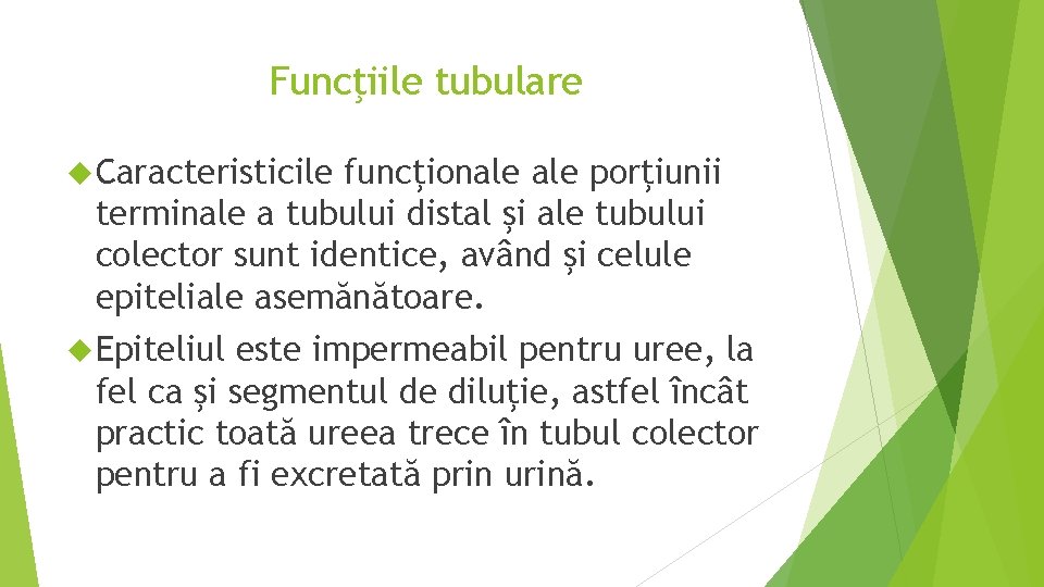 Funcţiile tubulare Caracteristicile funcţionale porţiunii terminale a tubului distal şi ale tubului colector sunt