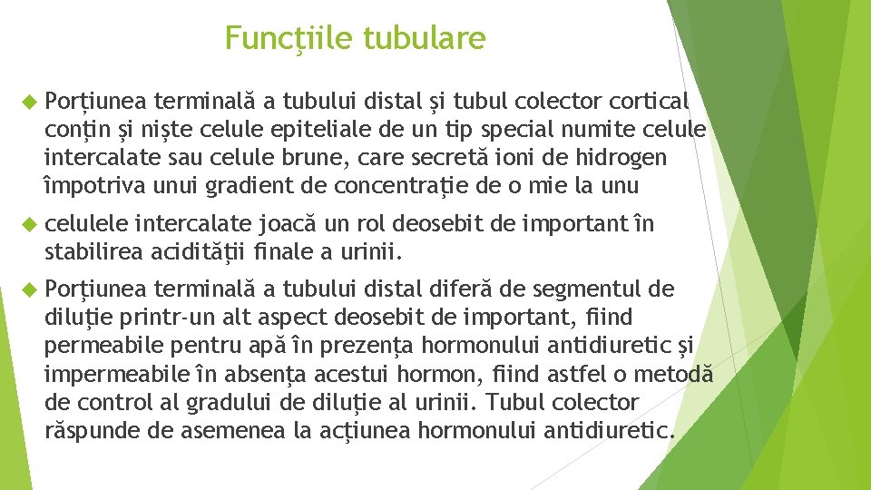 Funcţiile tubulare Porțiunea terminală a tubului distal şi tubul colector cortical conţin şi nişte