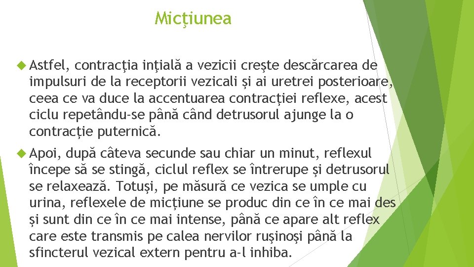 Micţiunea Astfel, contracţia inţială a vezicii creşte descărcarea de impulsuri de la receptorii vezicali