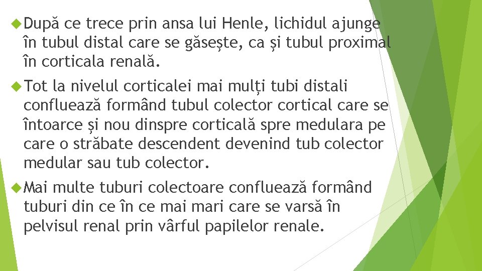  După ce trece prin ansa lui Henle, lichidul ajunge în tubul distal care