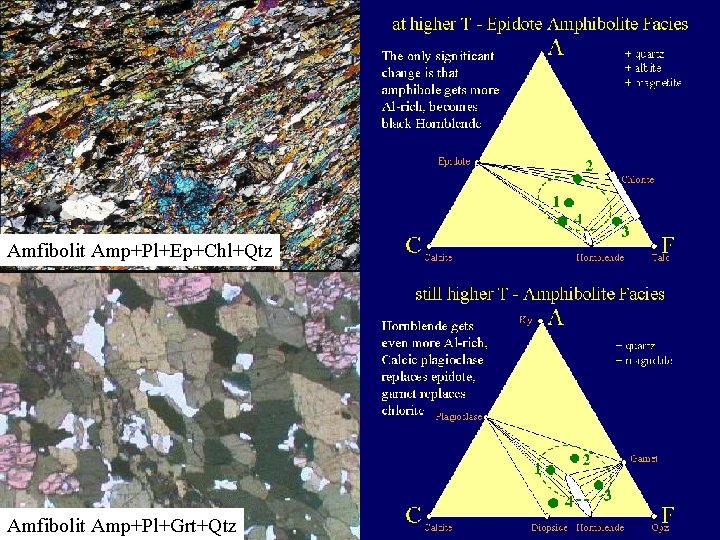 Amfibolit Amp+Pl+Ep+Chl+Qtz Amfibolit Amp+Pl+Grt+Qtz 
