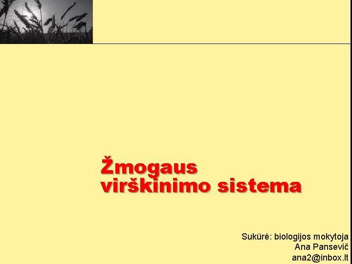 Žmogaus virškinimo sistema Sukūrė: biologijos mokytoja Ana Pansevič ana 2@inbox. lt 