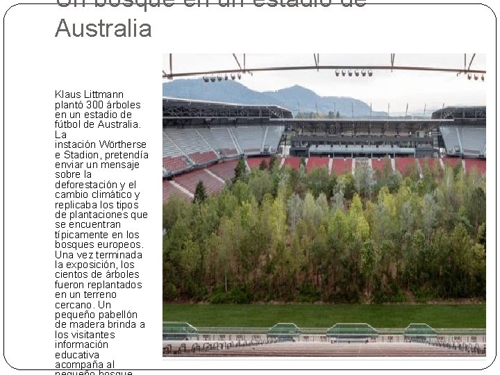 Un bosque en un estadio de Australia Klaus Littmann plantó 300 árboles en un