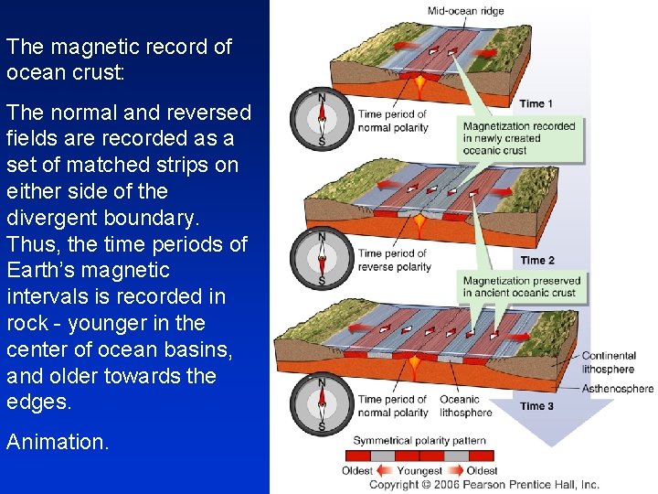 The magnetic record of ocean crust: The normal and reversed fields are recorded as The magnetic record of ocean crust: The normal and reversed fields are recorded as