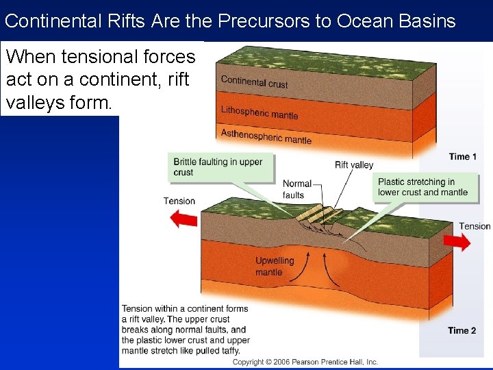 Continental Rifts Are the Precursors to Ocean Basins When tensional forces act on a