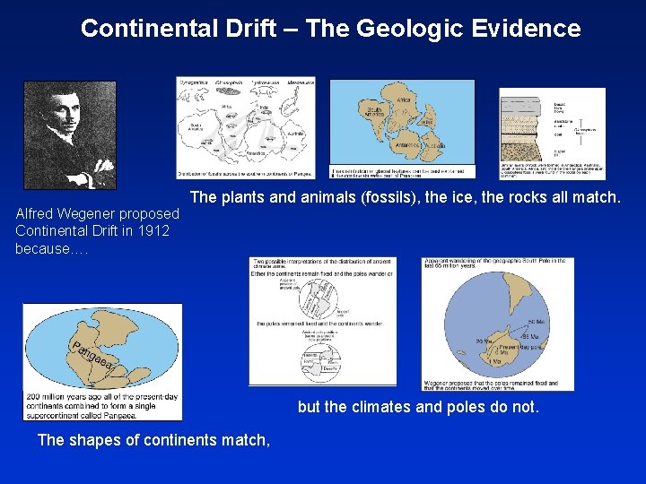 Continental Drift – The Geologic Evidence Alfred Wegener proposed Continental Drift in 1912 because….
