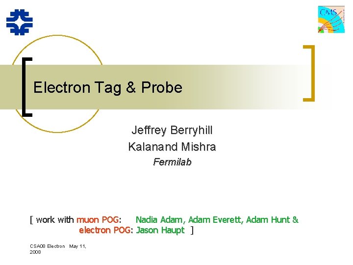 Electron Tag & Probe Jeffrey Berryhill Kalanand Mishra Fermilab [ work with muon POG: