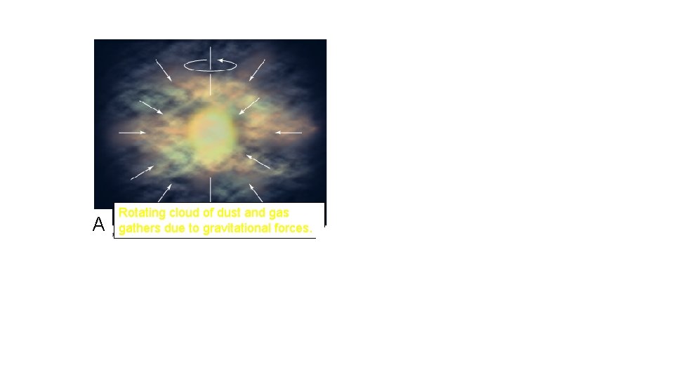 B A Rotating cloud of dust and gas gathers due to gravitational forces. Rotating