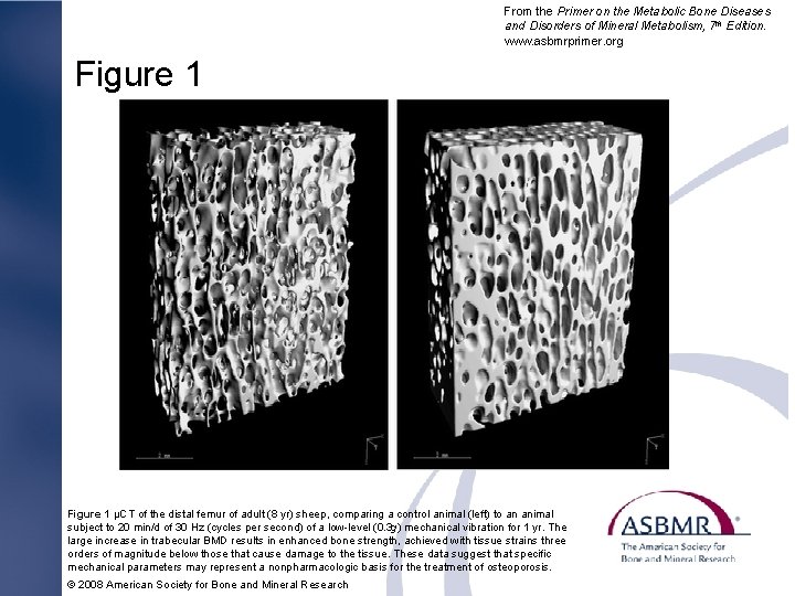 From the Primer on the Metabolic Bone Diseases and Disorders of Mineral Metabolism, 7