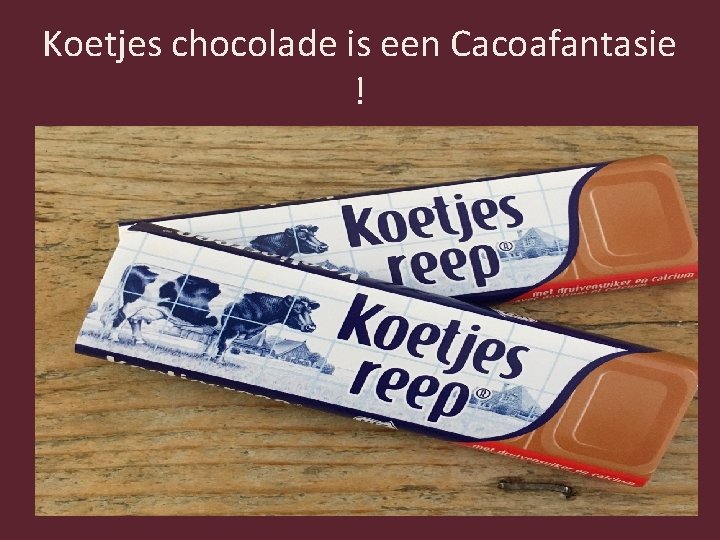 Koetjes chocolade is een Cacoafantasie ! 