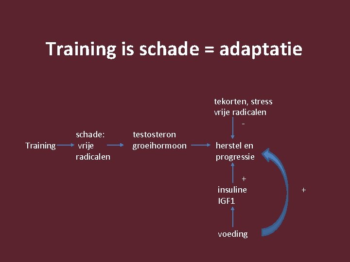 Training is schade = adaptatie Training schade: vrije radicalen testosteron groeihormoon tekorten, stress vrije