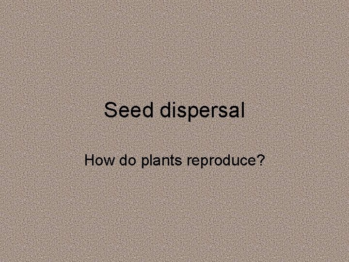 Seed dispersal How do plants reproduce? 