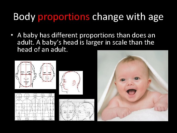 Body proportions change with age • A baby has different proportions than does an
