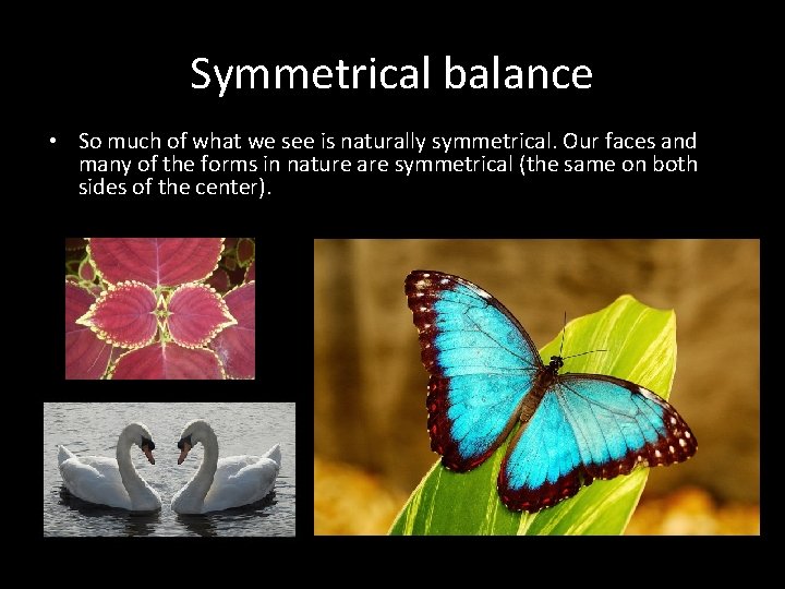 Symmetrical balance • So much of what we see is naturally symmetrical. Our faces