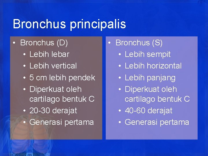 Bronchus principalis • Bronchus (D) • Lebih lebar • Lebih vertical • 5 cm Bronchus principalis • Bronchus (D) • Lebih lebar • Lebih vertical • 5 cm