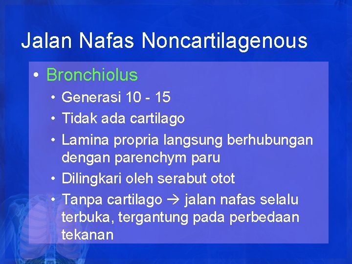 Jalan Nafas Noncartilagenous • Bronchiolus • Generasi 10 - 15 • Tidak ada cartilago Jalan Nafas Noncartilagenous • Bronchiolus • Generasi 10 - 15 • Tidak ada cartilago