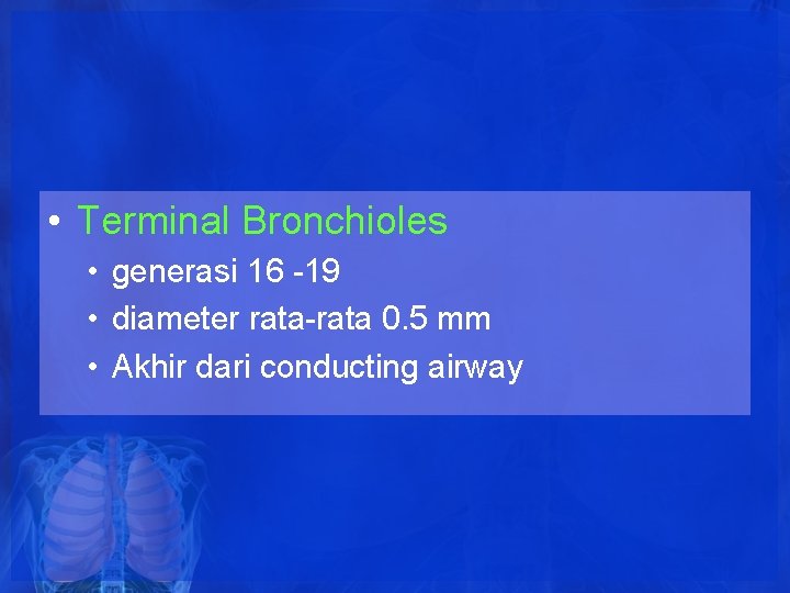 • Terminal Bronchioles • generasi 16 -19 • diameter rata-rata 0. 5 mm • Terminal Bronchioles • generasi 16 -19 • diameter rata-rata 0. 5 mm