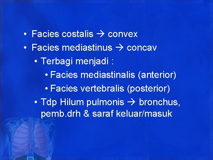 • Facies costalis convex • Facies mediastinus concav • Terbagi menjadi : • • Facies costalis convex • Facies mediastinus concav • Terbagi menjadi : •