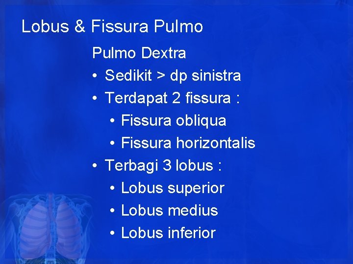 Lobus & Fissura Pulmo Dextra • Sedikit > dp sinistra • Terdapat 2 fissura Lobus & Fissura Pulmo Dextra • Sedikit > dp sinistra • Terdapat 2 fissura
