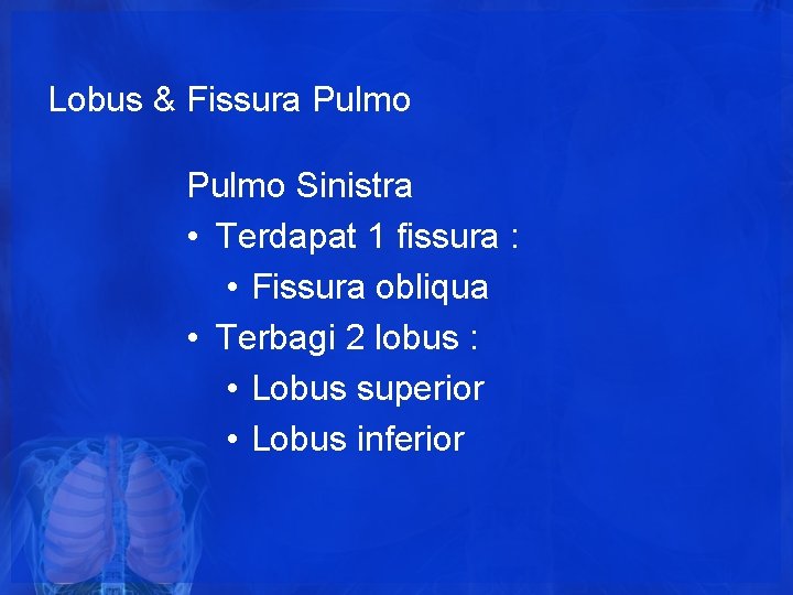Lobus & Fissura Pulmo Sinistra • Terdapat 1 fissura : • Fissura obliqua • Lobus & Fissura Pulmo Sinistra • Terdapat 1 fissura : • Fissura obliqua •