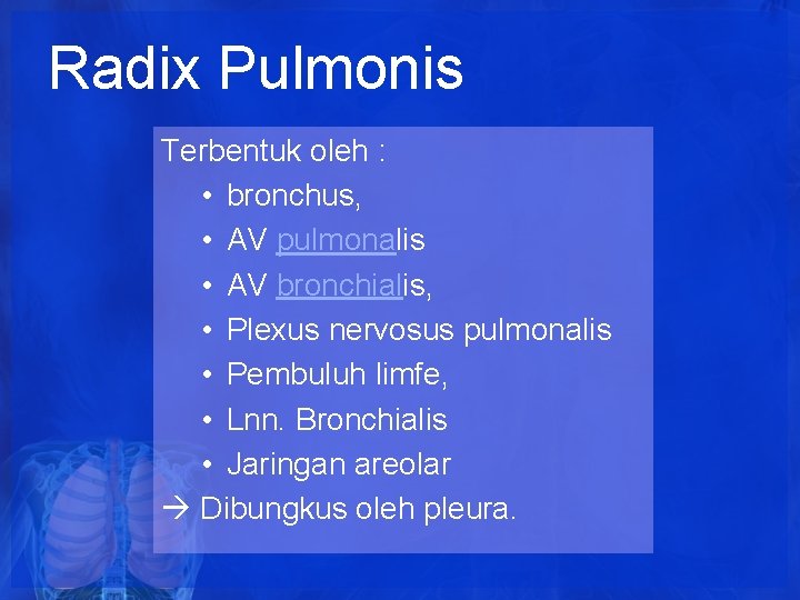 Radix Pulmonis Terbentuk oleh : • bronchus, • AV pulmonalis • AV bronchialis, • Radix Pulmonis Terbentuk oleh : • bronchus, • AV pulmonalis • AV bronchialis, •