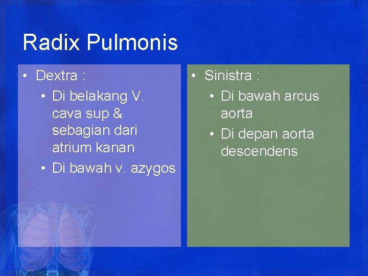 Radix Pulmonis • Dextra : • Di belakang V. cava sup & sebagian dari Radix Pulmonis • Dextra : • Di belakang V. cava sup & sebagian dari