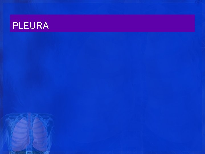 PLEURA PLEURA