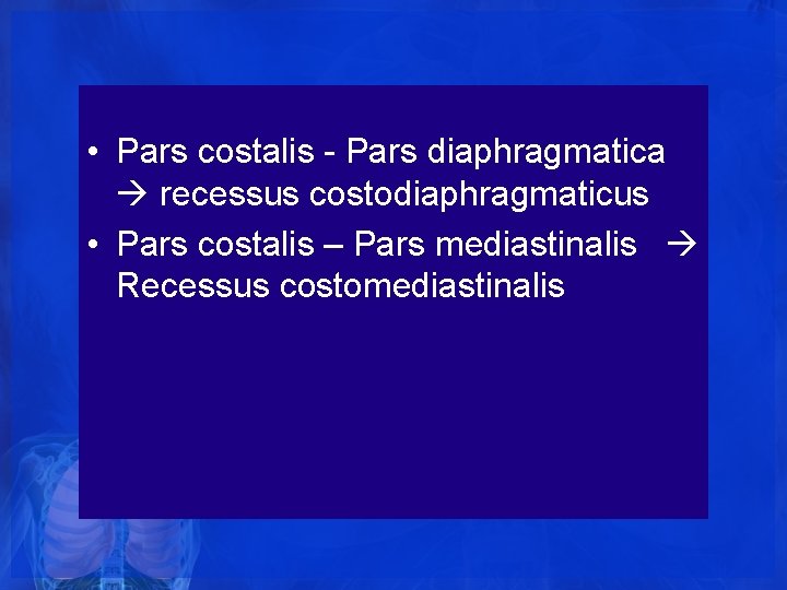 • Pars costalis - Pars diaphragmatica recessus costodiaphragmaticus • Pars costalis – Pars • Pars costalis - Pars diaphragmatica recessus costodiaphragmaticus • Pars costalis – Pars