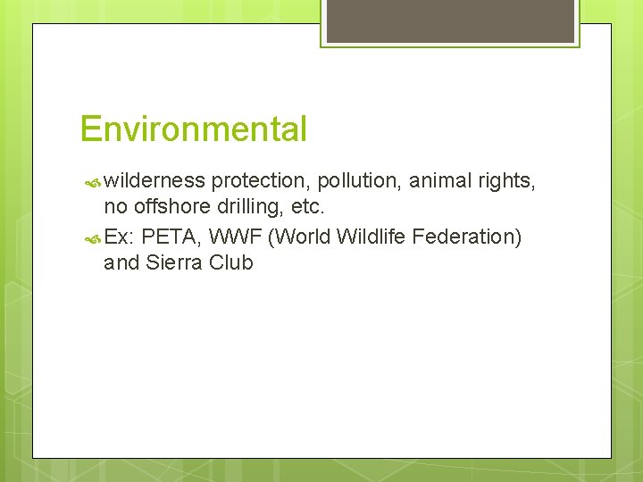 Environmental wilderness protection, pollution, animal rights, no offshore drilling, etc. Ex: PETA, WWF (World