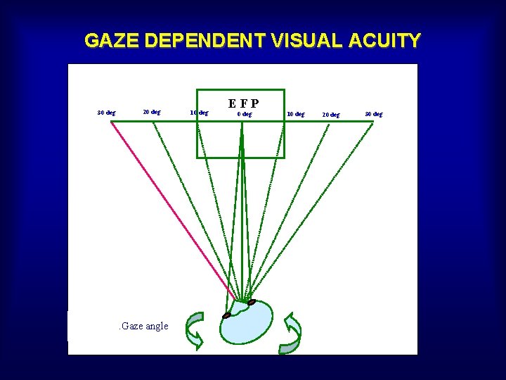 GAZE DEPENDENT VISUAL ACUITY 30 deg 20 deg Fig. 1. Gaze angle 10 deg