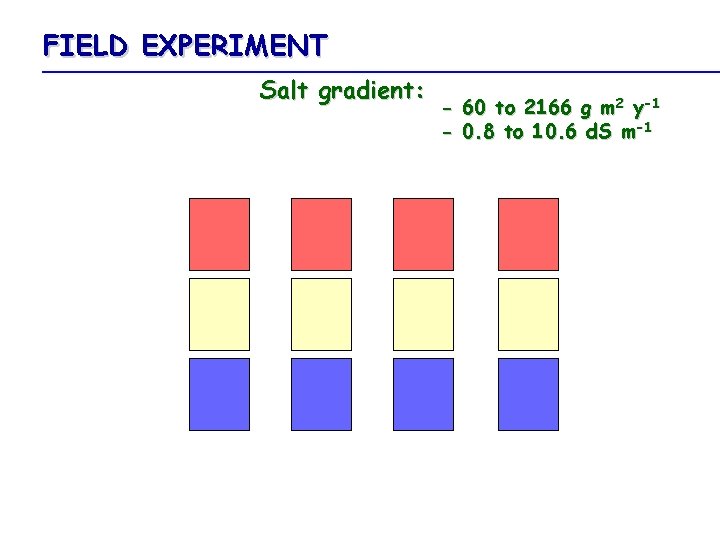 FIELD EXPERIMENT Salt gradient: - 60 to 2166 g m 2 y-1 - 0.