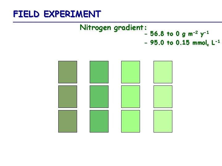 FIELD EXPERIMENT Nitrogen gradient: - 56. 8 to 0 g m-2 y-1 - 95.