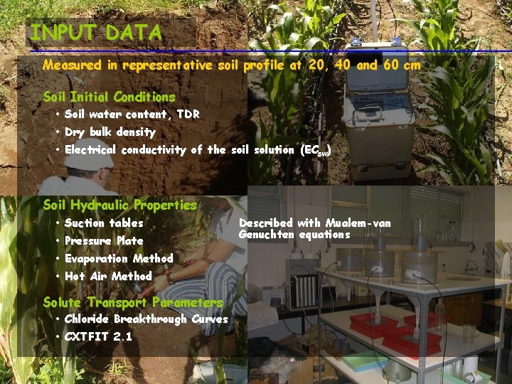 INPUT DATA Measured in representative soil profile at 20, 40 and 60 cm Soil