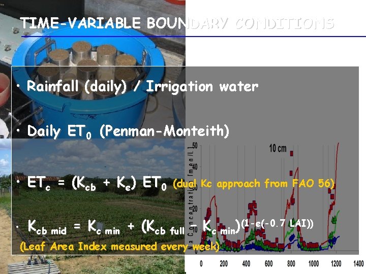 TIME-VARIABLE BOUNDARY CONDITIONS • Rainfall (daily) / Irrigation water • Daily ET 0 (Penman-Monteith)