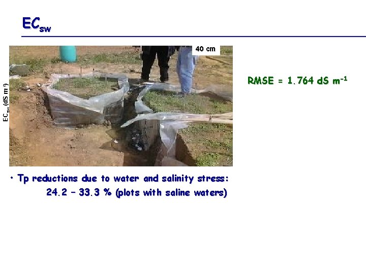 ECsw (d. S m-1) 40 cm • Tp reductions due to water and salinity