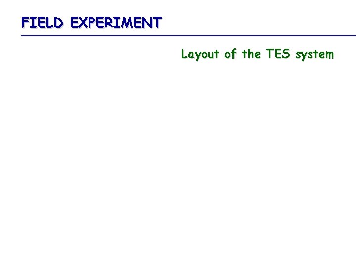 FIELD EXPERIMENT Layout of the TES system 