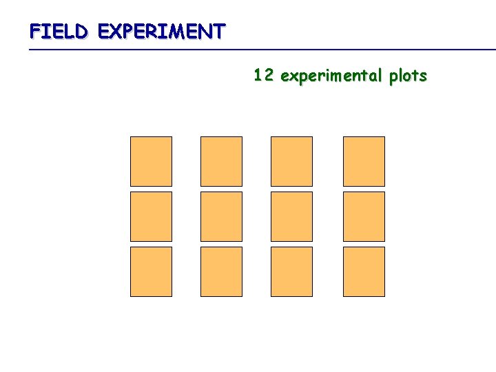 FIELD EXPERIMENT 12 experimental plots 