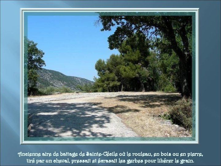 Ancienne aire de battage de Sainte-Cécile où le rouleau, en bois ou en pierre,