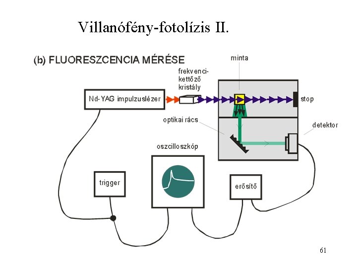 Villanófény-fotolízis II. 61 