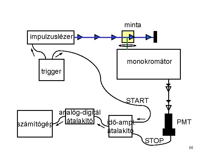 minta impulzuslézer monokromátor trigger START analóg-digitál átalakító idő-ampl. számítógép átalakító PMT STOP 66 