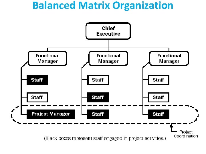 Balanced Matrix Organization 